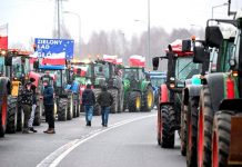 Foto: Agricultores protestan en Polonia /cortesía