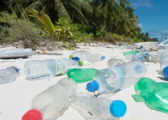 Foto: Datos Alarmantes: Cifras de sustancias peligrosas en los plásticos / Cortesìa