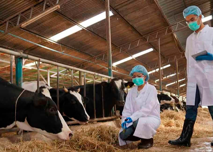 Foto: Virus en leche provoca pánico en EE.UU /cortesía 