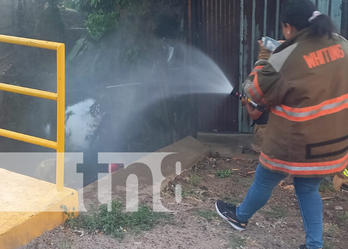 Foto: Enjambre de abejas atacan salvajemente a un hombre en Estelí/TN8