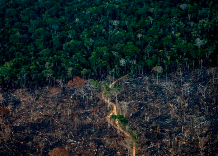Foto: Brasil invierte en la Amazonia /cortesía 