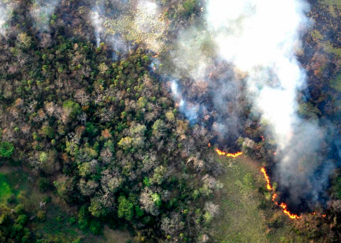 Foto: Desastre ambiental en Guatemala /cortesía 