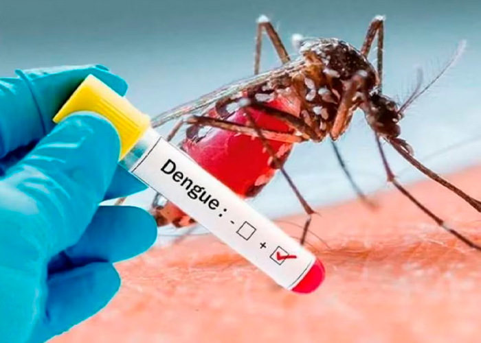 Foto: Dengue en Argentina /cortesía 