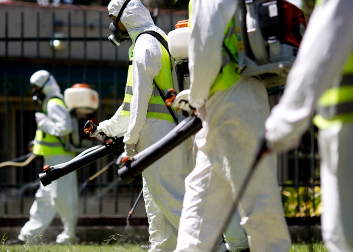 Foto: Argentina descarta vacuna contra el dengue /cortesía 