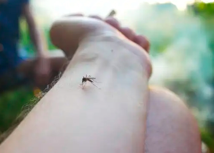 Foto: Dengue azota Guatemala /cortesía 