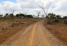 Foto: Gobierno entrega vías de acceso en Siuna para mejorar la vida de productores/Cortesía