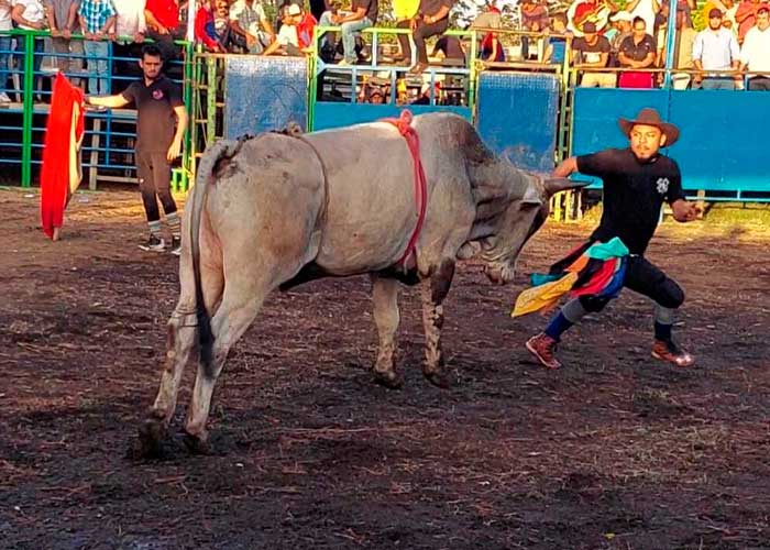 Terribles fracturas le provocó un toro en Costa Rica