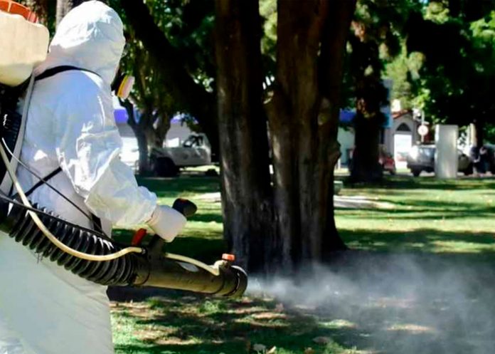 Foto: Dengue en Argentina /cortesía