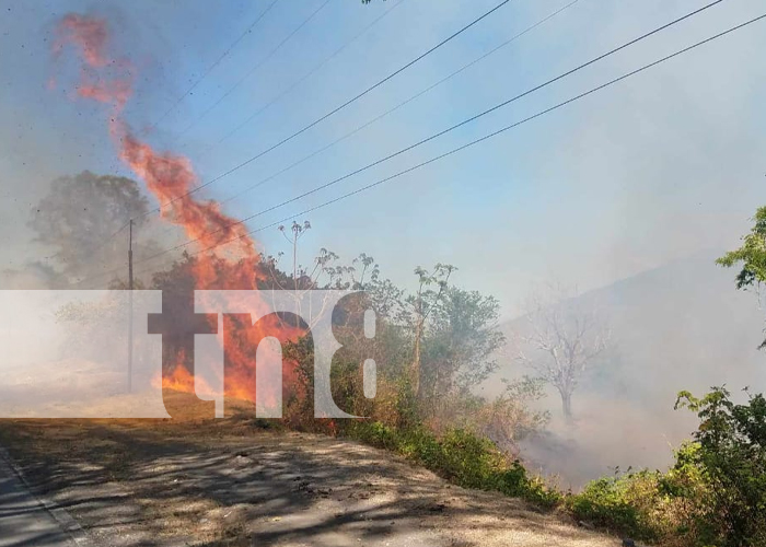 Productores negligentes aparentemente causan incendio devastador en Ometepe