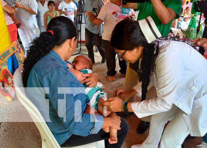 Foto: Más de medio millón de biológicos fueron aplicados en la Campaña de Vacunación en Managua / TN8