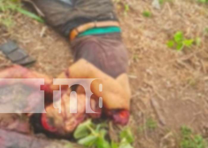 Foto: Joven fue asesinado brutalmente en San José de Bocay en Jinotega/TN8