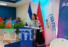 "Arte, Cultura , Educación y Paz" Desarrollan foro en promoción del arte en Nicaragua