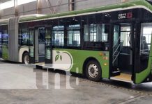 Foto: Bus Rapid Transit, modelo que podría estar en Nicaragua, desde China / TN8