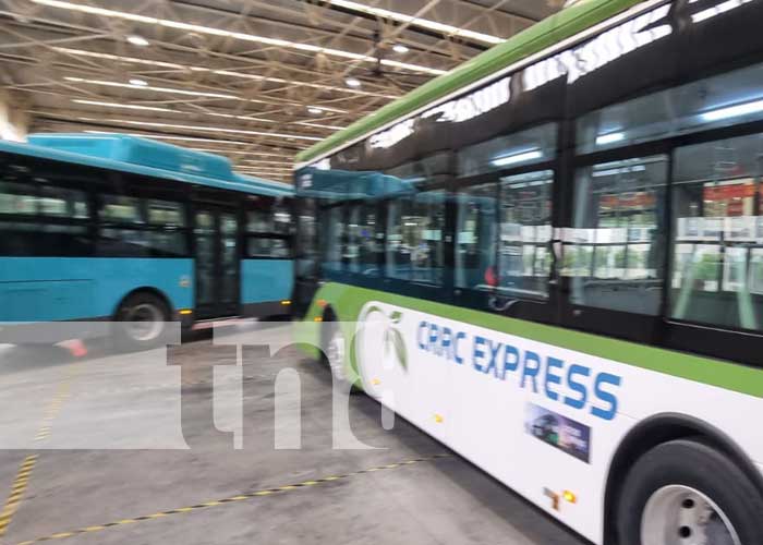 Foto: Bus Rapid Transit, modelo que podría estar en Nicaragua, desde China / TN8