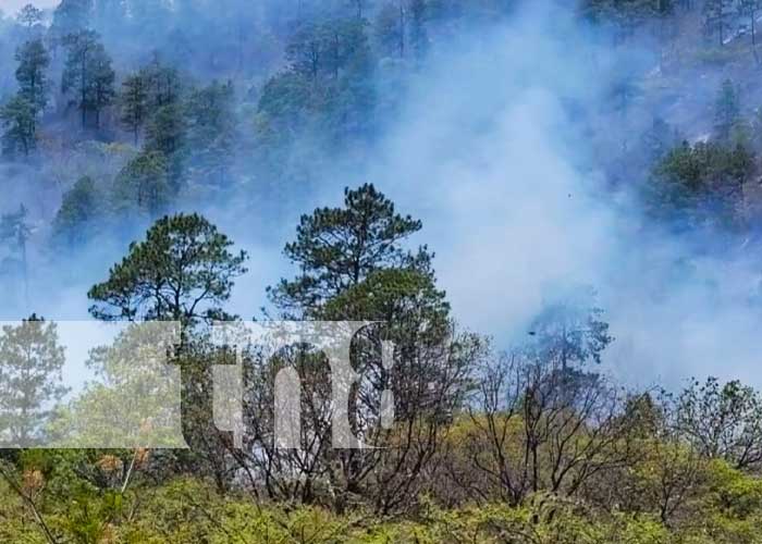 Foto: Control de incendio forestal en La Coquimba, Nueva Segovia / TN8