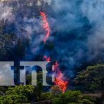 Foto: Control de incendio forestal en La Coquimba, Nueva Segovia / TN8