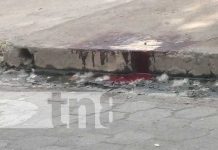 Foto: Charco de sangre frente a una vivienda en Granada / TN8
