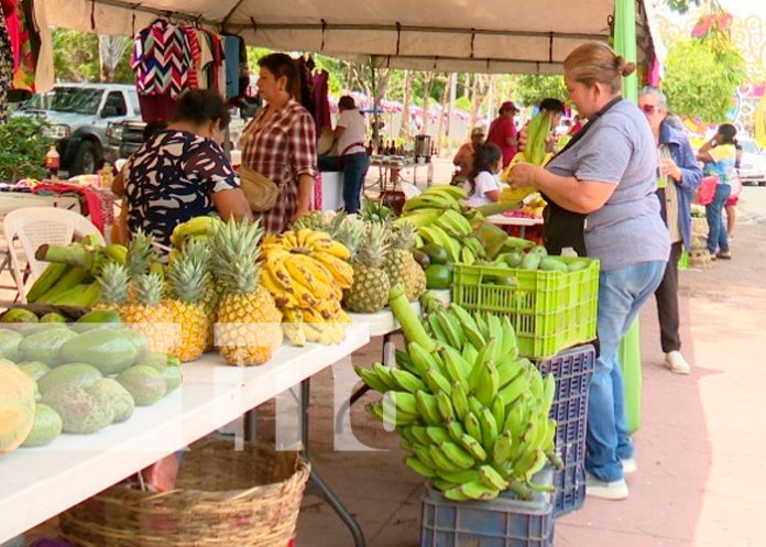 Foto: Managua se deleita con la diversidad de productos /TN8