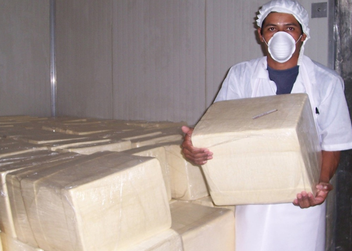 Foto:Producción de queso en buen crecimiento en las exportaciones/Cortesía 