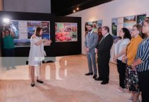 Foto: Cultura y naturaleza: exposición serbia cautiva en Managua/TN8
