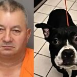 Hombre de Florida decapita a su perro