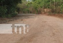 Reparación de caminos en Masaya beneficia a productores locales