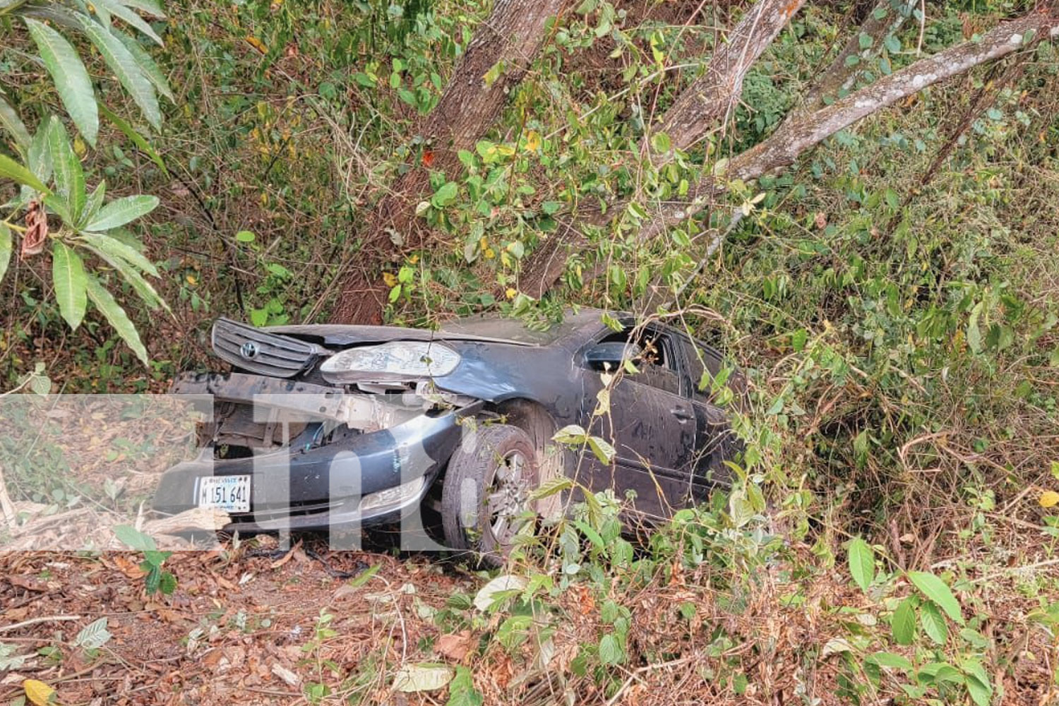 Foto: Motociclista fallece en trágico accidente en Jalapa, Nueva Segovia/TN8