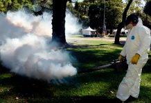 Foto: Dengue descontrolado en Argentina /cortesía