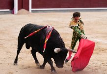 Prohibidas las corridas de toros en Colombia 