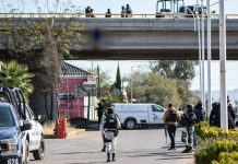 Hallan nueve cadáveres en plena calle de México