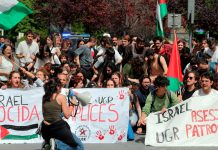 Foto: Universidades en España alzan la voz /cortesía