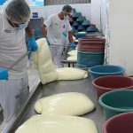 Foto:Producción de queso en buen crecimiento en las exportaciones/Cortesía