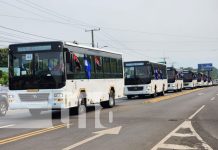 Foto: Buses chinos pasan por la ciudad de León / TN8