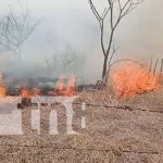 Foto: Incendio de maleza en una zona de Ometepe / TN8