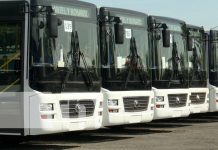 Foto: Nuevos buses chinos para cooperativas de Managua / TN8
