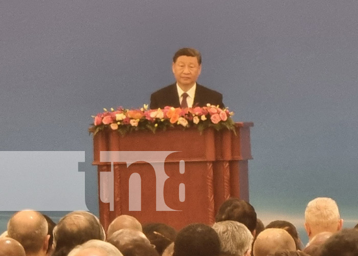Foto: Conferencia de China con el presidente Xi Jinping / TN8
