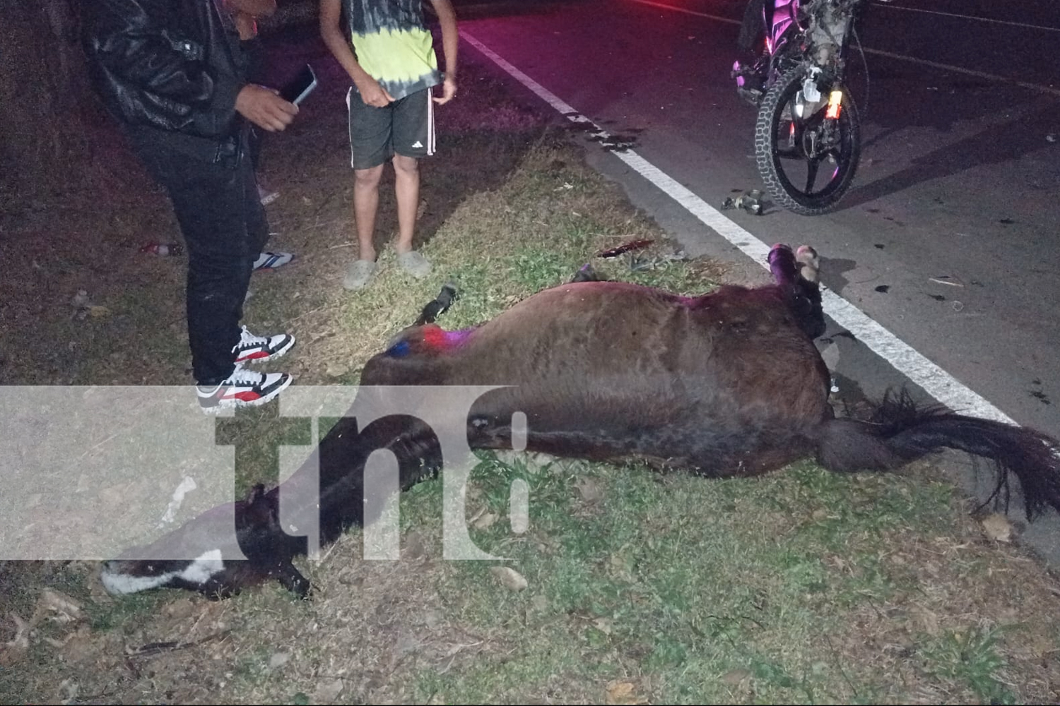 Foto: Nueva Segovia: Dos accidentes de motocicleta en menos de 24 horas/ TN8