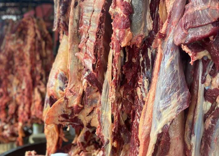 Foto: Producción de carne bovina en Nicaragua supera los 33 millones de libras / Cortesía