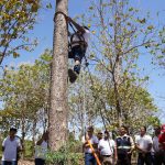 Foto: MARENA impulsa la formación en semillas forestales