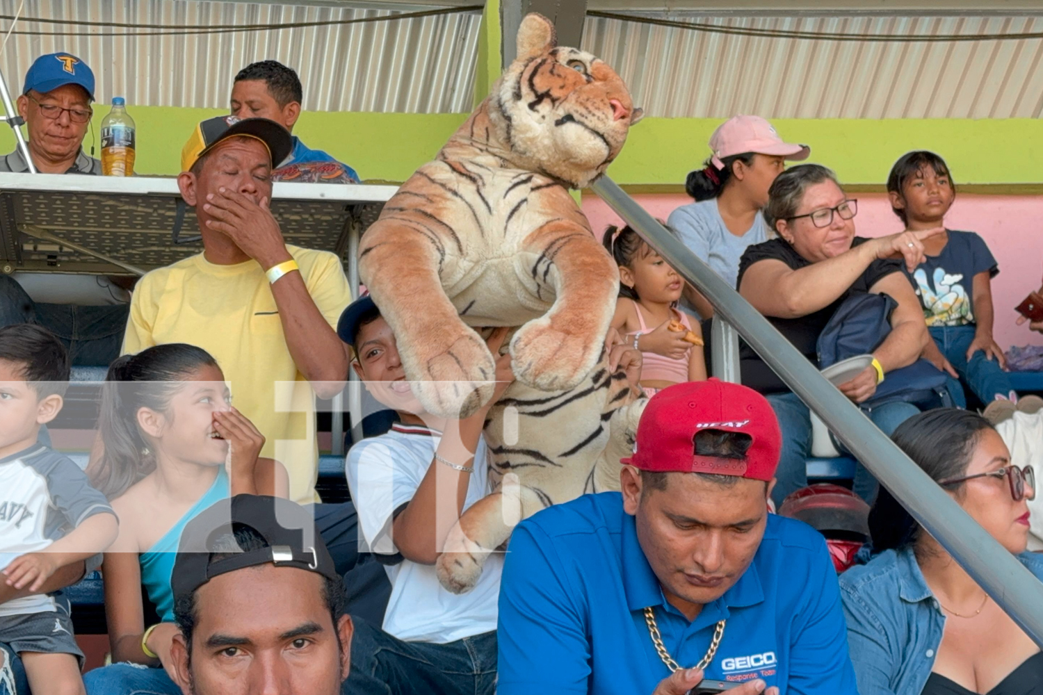 Foto: Los Tigres de Chinandega barren a los Leones en la Serie del Campeonato Pomares/TN8
