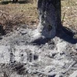 Foto: Violencia extrema y crimen de odio en Chinandega / TN8