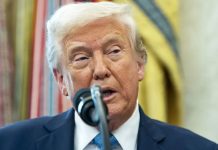 Foto: Plan de Trump para Ucrania /cortesía