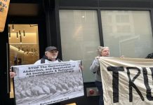 Foto: Protestas en Estados Unidos /cortesía