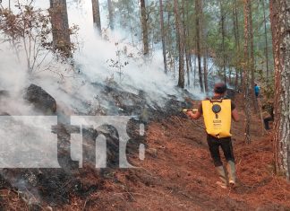 Foto: Incendio forestal en San José de Cusmapa, en Madriz/TN8