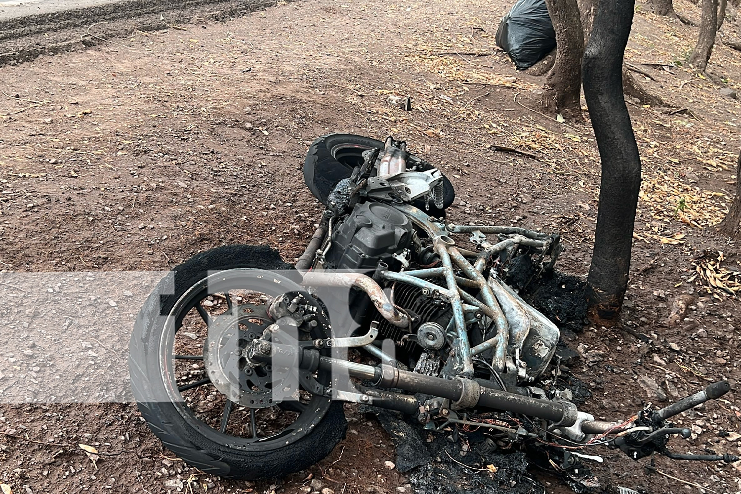 Foto:Vecinos salvan a motociclista tras caída y explosión/TN8
