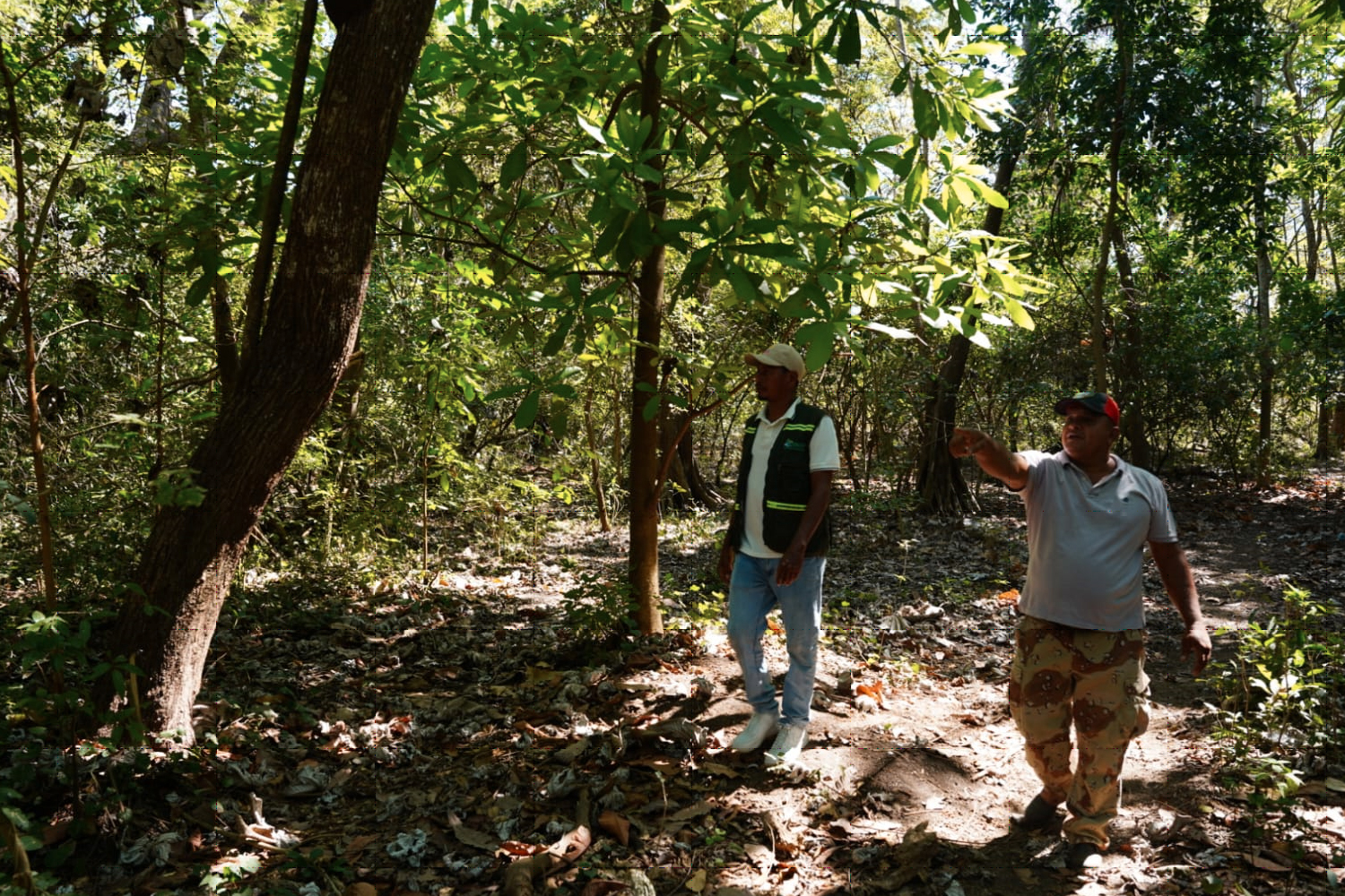 Foto: MARENA refuerza prácticas ambientales con jornadas de reforestación/Cortesía