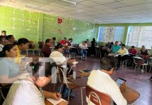 Foto: Maestros apuestan por una enseñanza más efectiva /TN8