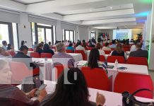 Foto: Nicaragua fortalece su economía creativa con derechos intelectuales /TN8