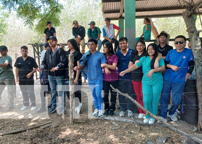 Foto: Medicina Veterinaria en la UNA / TN8
