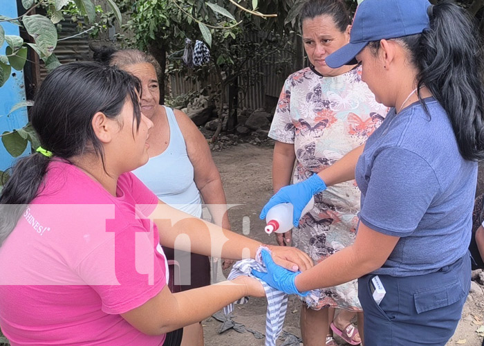 Foto: Perro ataca a una niña en Estelí / TN8